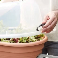 Elho Green Basics Flower Bridge Grow House 55cm -Garden Care Gear 1024663 4