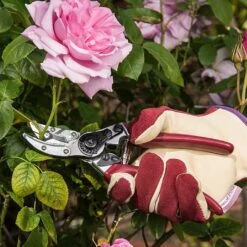 Kent & Stowe Rose Cut & Hold Secateurs -Garden Care Gear 1031091 2