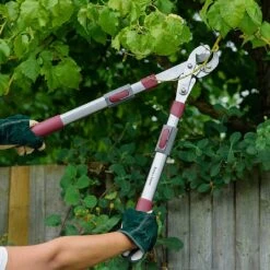 Kent & Stowe Telescopic Geared Anvil Loppers -Garden Care Gear 1031097 1