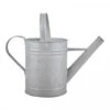 Fallen Fruits Old Zinc Watering Can 1.6L -Garden Care Gear 1077089