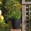 Stewart Garden 53cm Basalt Tall Round Planter - Black -Garden Care Gear 1115428