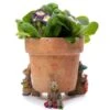 Jardinopia Beatrix Potter Benjamin Bunny Plant Pot Feet - Set Of 3 -Garden Care Gear 1177317