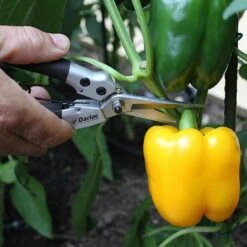 Darlac Compact Snips -Garden Care Gear 1202076 2