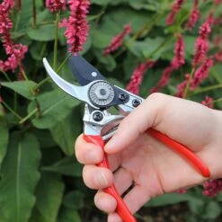 Darlac Small Bypass Pruner 8 Darlac Small Bypass Pruner -Garden Care Gear 1202088 3