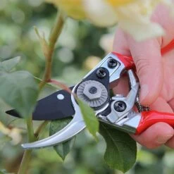 Darlac Small Bypass Pruner 9 Darlac Small Bypass Pruner -Garden Care Gear 1202088 4