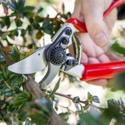 Darlac Expert Rotate Handle Pruner -Garden Care Gear 1202117 2