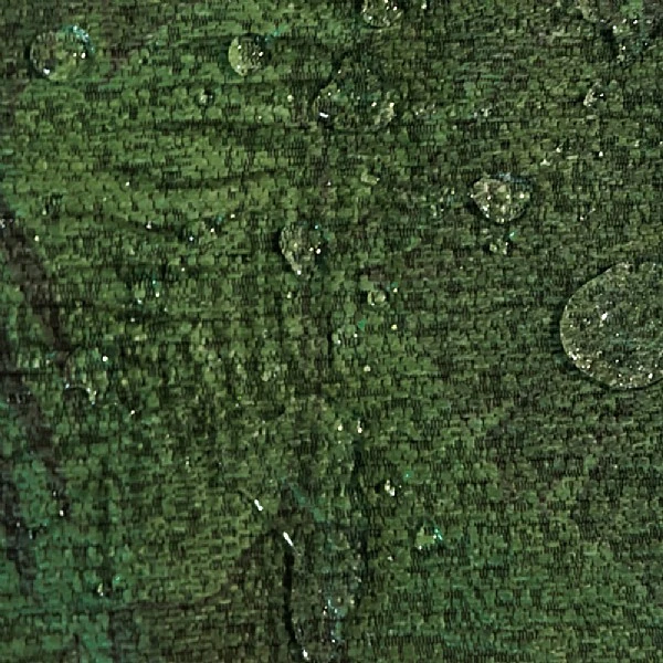 Madison Ruiz Green Carpet 4 Madison Ruiz Green Carpet - Image 2