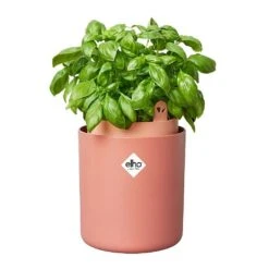 Elho Bouncy Basil Herb Pot Toffee Terracotta -Garden Care Gear 1230811 3