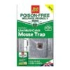 The Big Cheese Ready-Baited Live Multi-Catch Mouse Trap -Garden Care Gear 1233138