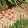 Daleside Edging Stone 440mm York Gold -Garden Care Gear 574674