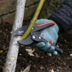 Wilkinson Sword Ratchet Anvil Pruner -Garden Care Gear 787068 1