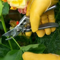 Wilkinson Sword Razorcut Comfort Medium Bypass Pruner -Garden Care Gear 787073 1