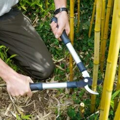 Burgon & Ball RHS Mini Bypass Lopper -Garden Care Gear 884113 1