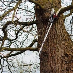 Kent & Stowe Telescopic Tree Lopper 7 Kent & Stowe Telescopic Tree Lopper -Garden Care Gear 910042 2