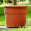 Elho Algarve Cilindro Planter With Wheels 48cm -Garden Care Gear ALG CIL WHEEL 48