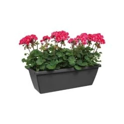 Elho Barcelona 90cm Trough (Various Colours) 8 Elho Barcelona 90cm Trough (Various Colours) -Garden Care Gear BARCTROUGH90 2