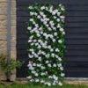 Smart Garden Cherry Blossom Trellis (Various Sizes) -Garden Care Gear CBLOSTREL