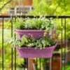 Elho Corsica Large Vertical Forest Planters - Set Of 2 (Various Colours) -Garden Care Gear CORFORLRG