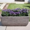 Cotswold Trough Planter 60cm -Garden Care Gear COTTRO60