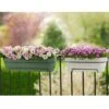 Elho Vibia Campana Trough 50cm (Various Colours) -Garden Care Gear ELVIBSQ50