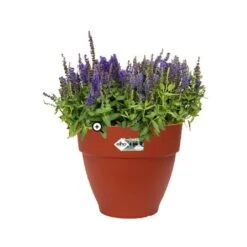 Elho Vibia Campana Round 47cm Planter (Various Colours) -Garden Care Gear VICAM47 1